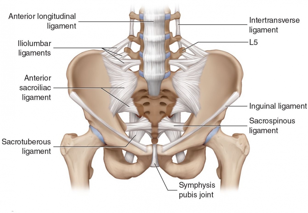 Lumbar spine – P-DTR® USA